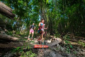 BIB: 
                            <button type="button" onclick="openModal(19387709)" class="btn btn-primary btn-sm float-right btn-popup" data-toggle="modal" data-target=".modal-high-quality">
                        <i class="fas fa-shopping-cart"></i> Add to Cart
                    </button>
                                            <button type="button" onclick="isThisMe(19387709, true)" class="btn btn-success btn-sm float-right btn-popup btn-isme hidden" data-toggle="tooltip" data-placement="bottom" title="นี่คือรูปของคุณใช่ไหม คลิกที่นี่เพื่อเอาเข้าอัลบั้ม">
                        <i class="fas fa-plus"></i> Add to album
                    </button>
                    <button type="button" onclick="isThisMe(19387709, false)" class="btn btn-warning btn-sm float-right btn-popup btn-isnotme hidden">
                        <i class="fas fa-ban"></i> Remove from album
                    </button>